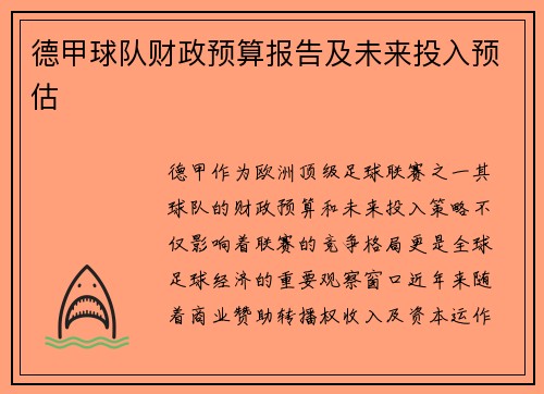 德甲球队财政预算报告及未来投入预估